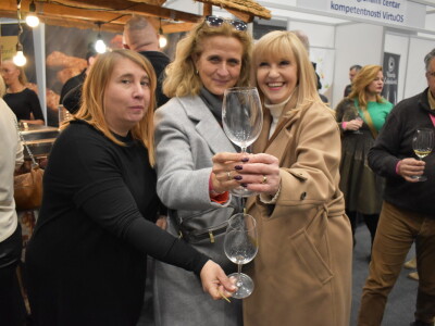 9. WineOs - Osijek Wine fest