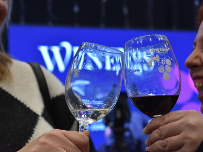 9. WineOs - Osijek Wine fest