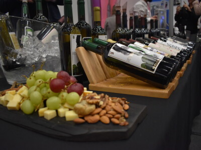 9. WineOs - Osijek Wine fest