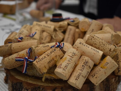 9. WineOs - Osijek Wine fest