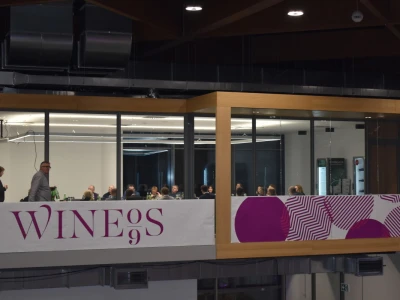 9. WineOs - Osijek Wine fest