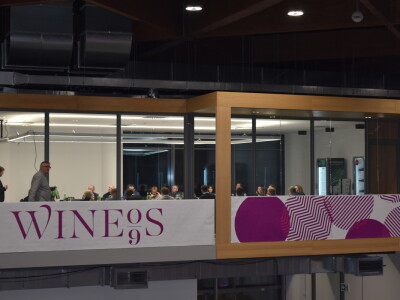 9. WineOs - Osijek Wine fest