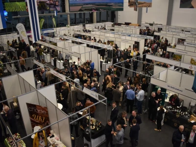 9. WineOs - Osijek Wine fest