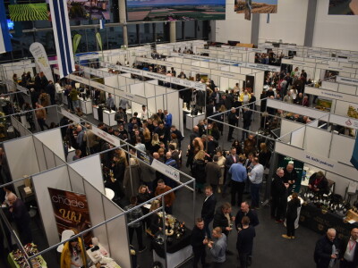 9. WineOs - Osijek Wine fest