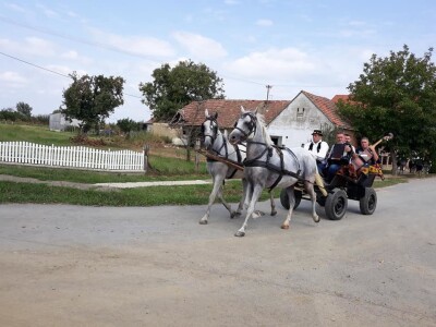 9. Zlatne jeseni: U Širokom Polju opet pokazali raskoš i njegovanje tradicije svojih pradjedova