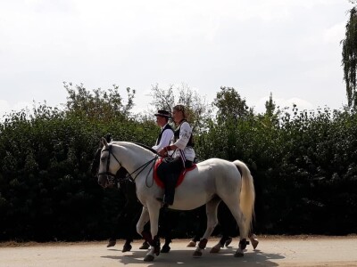 9. Zlatne jeseni: U Širokom Polju opet pokazali raskoš i njegovanje tradicije svojih pradjedova