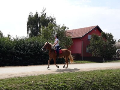 9. Zlatne jeseni: U Širokom Polju opet pokazali raskoš i njegovanje tradicije svojih pradjedova