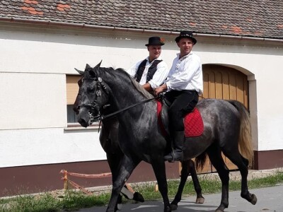 9. Zlatne jeseni: U Širokom Polju opet pokazali raskoš i njegovanje tradicije svojih pradjedova