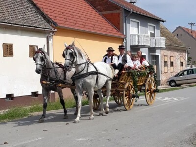 9. Zlatne jeseni: U Širokom Polju opet pokazali raskoš i njegovanje tradicije svojih pradjedova