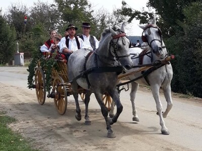 9. Zlatne jeseni: U Širokom Polju opet pokazali raskoš i njegovanje tradicije svojih pradjedova