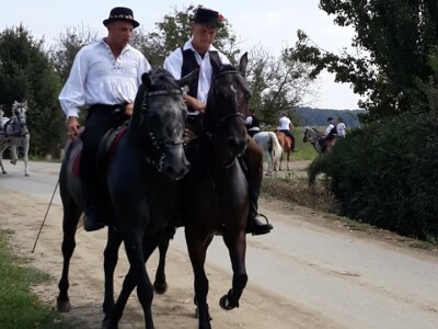 9. Zlatne jeseni: U Širokom Polju opet pokazali raskoš i njegovanje tradicije svojih pradjedova