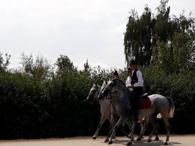 9. Zlatne jeseni: U Širokom Polju opet pokazali raskoš i njegovanje tradicije svojih pradjedova