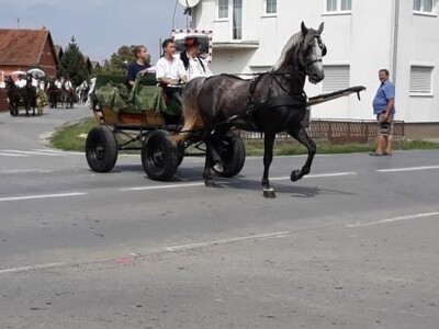 9. Zlatne jeseni: U Širokom Polju opet pokazali raskoš i njegovanje tradicije svojih pradjedova