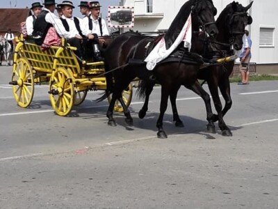 9. Zlatne jeseni: U Širokom Polju opet pokazali raskoš i njegovanje tradicije svojih pradjedova