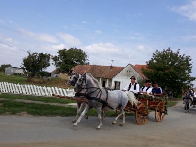 9. Zlatne jeseni: U Širokom Polju opet pokazali raskoš i njegovanje tradicije svojih pradjedova