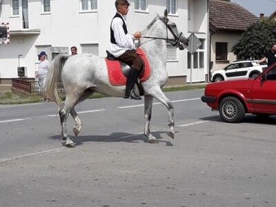 9. Zlatne jeseni: U Širokom Polju opet pokazali raskoš i njegovanje tradicije svojih pradjedova