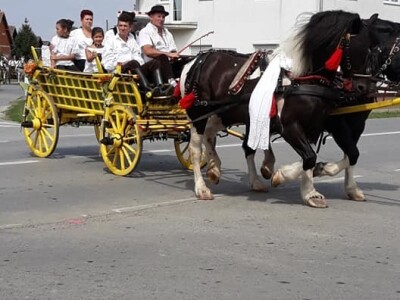 9. Zlatne jeseni: U Širokom Polju opet pokazali raskoš i njegovanje tradicije svojih pradjedova