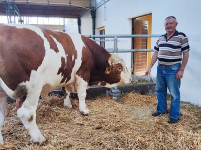 90. Međunarodni sajam poljoprivrede u Novom Sadu