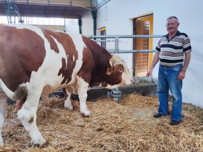 90. Međunarodni sajam poljoprivrede u Novom Sadu