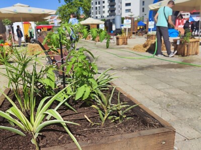 91. Međunarodni poljoprivredni sajam u Novom Sadu