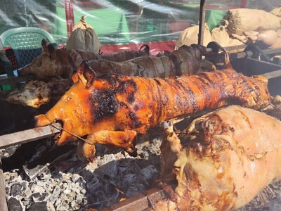 91. Međunarodni poljoprivredni sajam u Novom Sadu