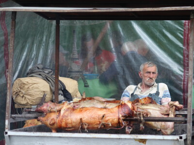 91. međunarodni poljoprivredni sajam u Novom Sadu