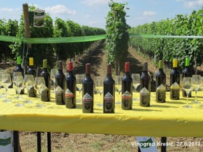 Dani Vinograda u RH