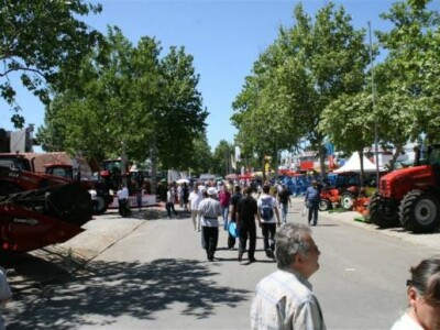 80. međunarodni poljoprivredni Novosadski sajam