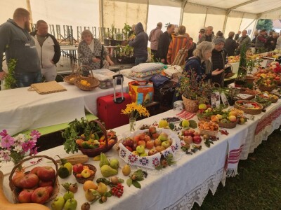 Izložba plodova starih sorti Cernik 2024