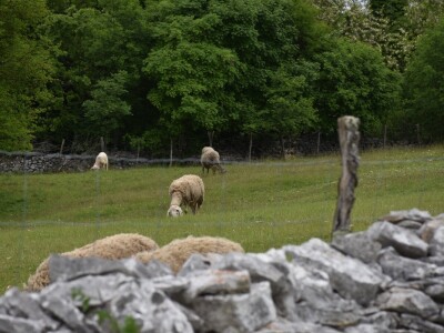 Voda i ekologija budućnost su suvremenog turizma i poljoprivrede