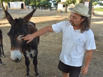 Izvorne pasmine domaćih životinja Istre