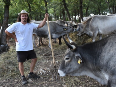 Izvorne pasmine domaćih životinja Istre