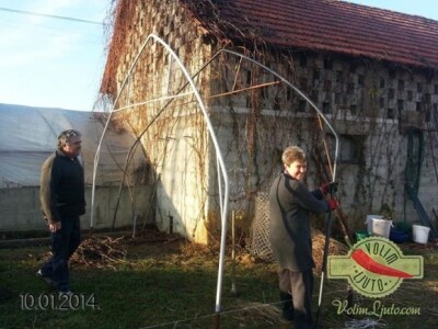 Vrijeme ih je poslužilo pa su plastenike postaviči prije planiranog roka