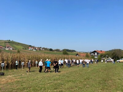 "Dani polja kukuruza" u Velikoj Kladuši