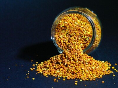 OPG Roguljić u Kučinama proizvodi med i pčelinje proizvode, soparnik, maslinovo ulje i suhe smokve te uzgaja buše