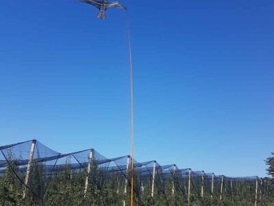 Sa terena - SCARYBIRD razno