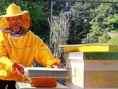 Lipanj u pčelinjaku