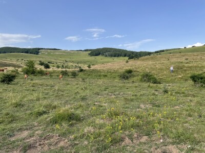 Tešija … ne objaviti još