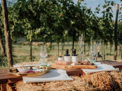 Aceto balsamico - Tenuta Tre Terre Aceto balsamico - Tenuta Tre Terre