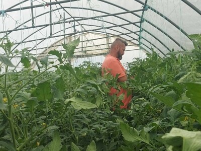 adnan ado pranjgic-Komar