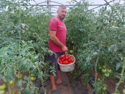 adnan ado pranjgic-Komar