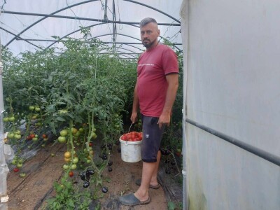 adnan ado pranjgic-Komar