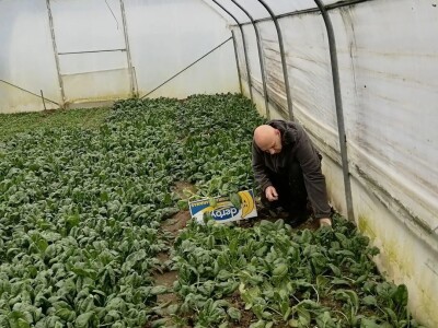 Adnan Hadžalić: Ne pristajemo na hemijske preparate, samo organska proizvodnja