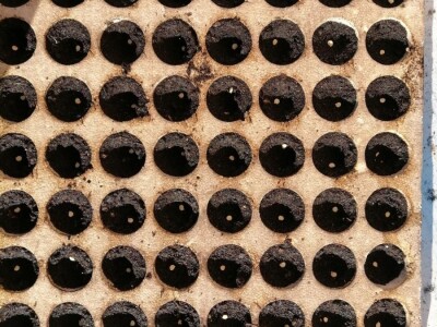 Adnan Hadžalić: Ne pristajemo na hemijske preparate, samo organska proizvodnja