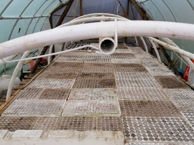 Adnan Hadžalić: Ne pristajemo na hemijske preparate, samo organska proizvodnja