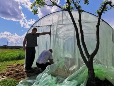 Adnan Hadžalić: Ne pristajemo na hemijske preparate, samo organska proizvodnja