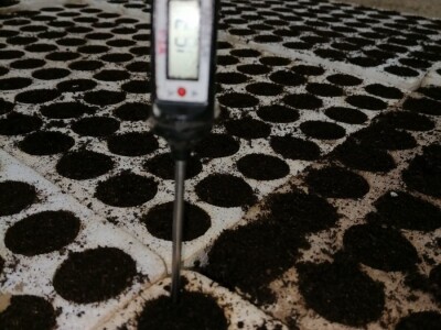 Adnan Hadžalić: Ne pristajemo na hemijske preparate, samo organska proizvodnja