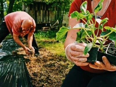Adnan Hadžalić: Ne pristajemo na hemijske preparate, samo organska proizvodnja
