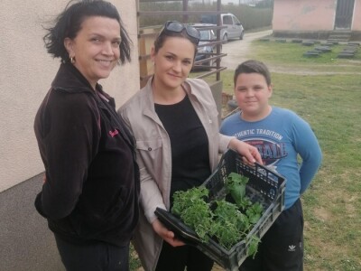 Adnan Hadžalić: Ne pristajemo na hemijske preparate, samo organska proizvodnja