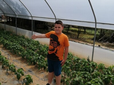 Adnan Hadžalić: Ne pristajemo na hemijske preparate, samo organska proizvodnja